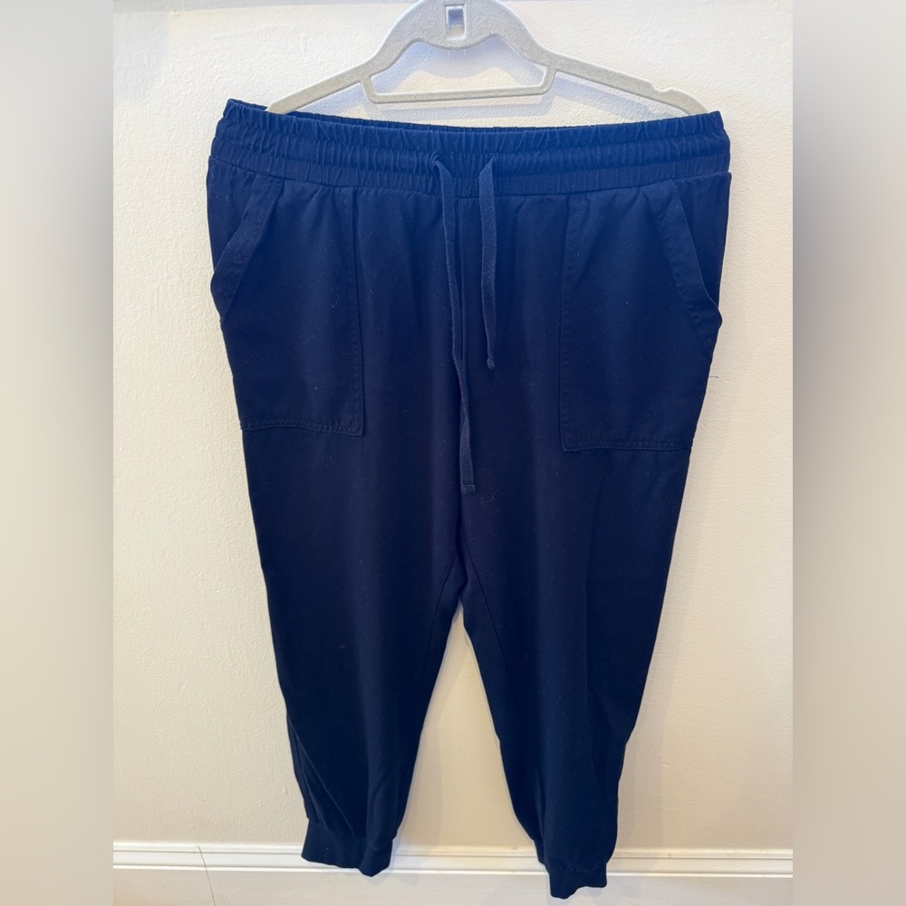 Splendid size medium women’s Black Jogger Pants in good used condition